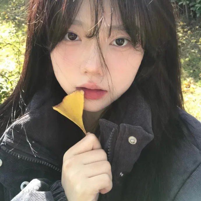 爱情理论